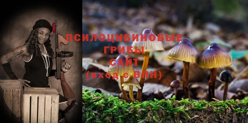 Галлюциногенные грибы Psilocybe  ОМГ ОМГ сайт  Электросталь  закладки 